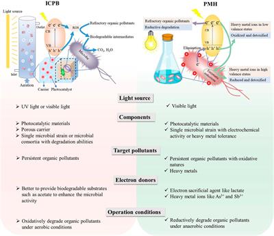 Photocatalytic Material–Microbe Hybrids: Applications in Environmental Remediations